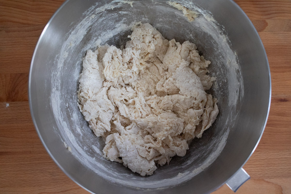 dough after initial mixing